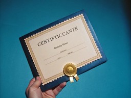 their hand 안의 사람 holding certifi고양이e