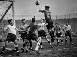 축구 를 치는 남성 들 의 그룹