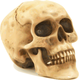 현실적인 인간 skull