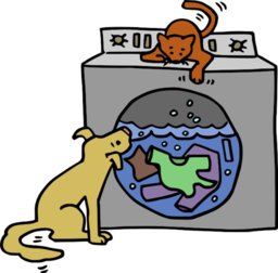 개 고양이 보 옷 에 washing machine