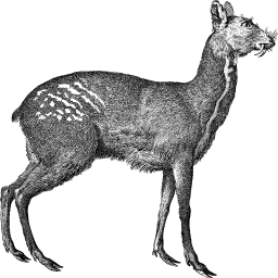 검정 deer silhouette