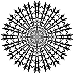 a 검정 과 화이트 이미지 의 a starburst