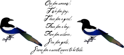 파란 새와 스크립트