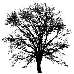 intricate 나무 silhouette