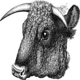 상세한 bison 머리