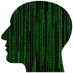 인간의 머리 silhouette 와 matrix 코드 효과