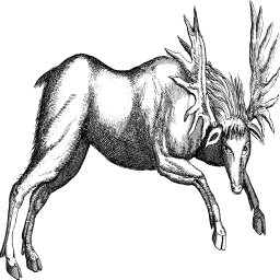 moose 서 에 profile
