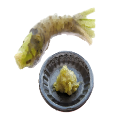 Worm Eating a 조각 의 음식 에 a 접시