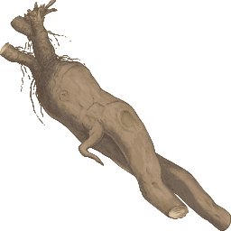giraffe 삽화