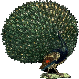 peacock 에 전체 표시