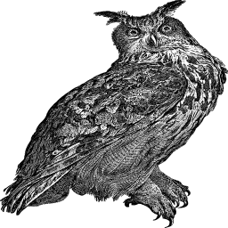 상세한 owl 삽화
