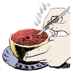 사람 식사 디저트