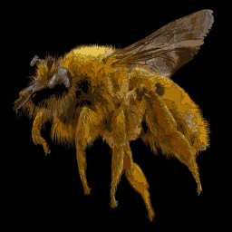 현실적인 bee 예술