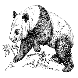 a 검정 과 화이트 그림 의 a 곰