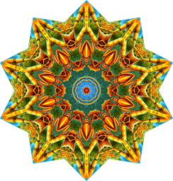 황금 8 포인트 스타 mandala