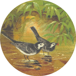 A Pond에서 새 식용수의 그림