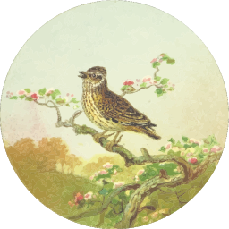 songbird 에 berry 분지 원형 일러스트