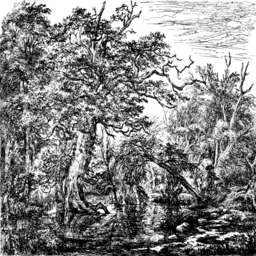 woodcut 숲 풍경 장면