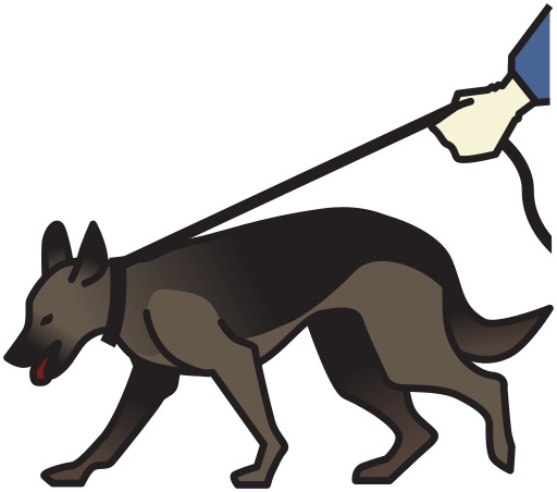 leash 위의 leash이 있는 dog walking
