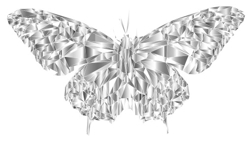 흰색 배경의 silver butterfly 5