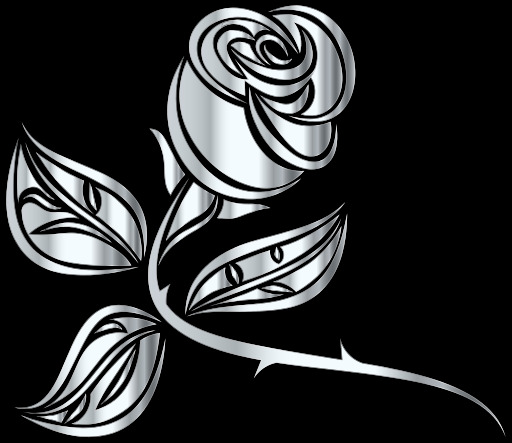 실버 로즈 On A Black Background