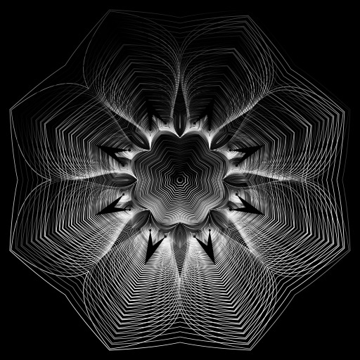 라인-art-spider-web-gyromitra-03