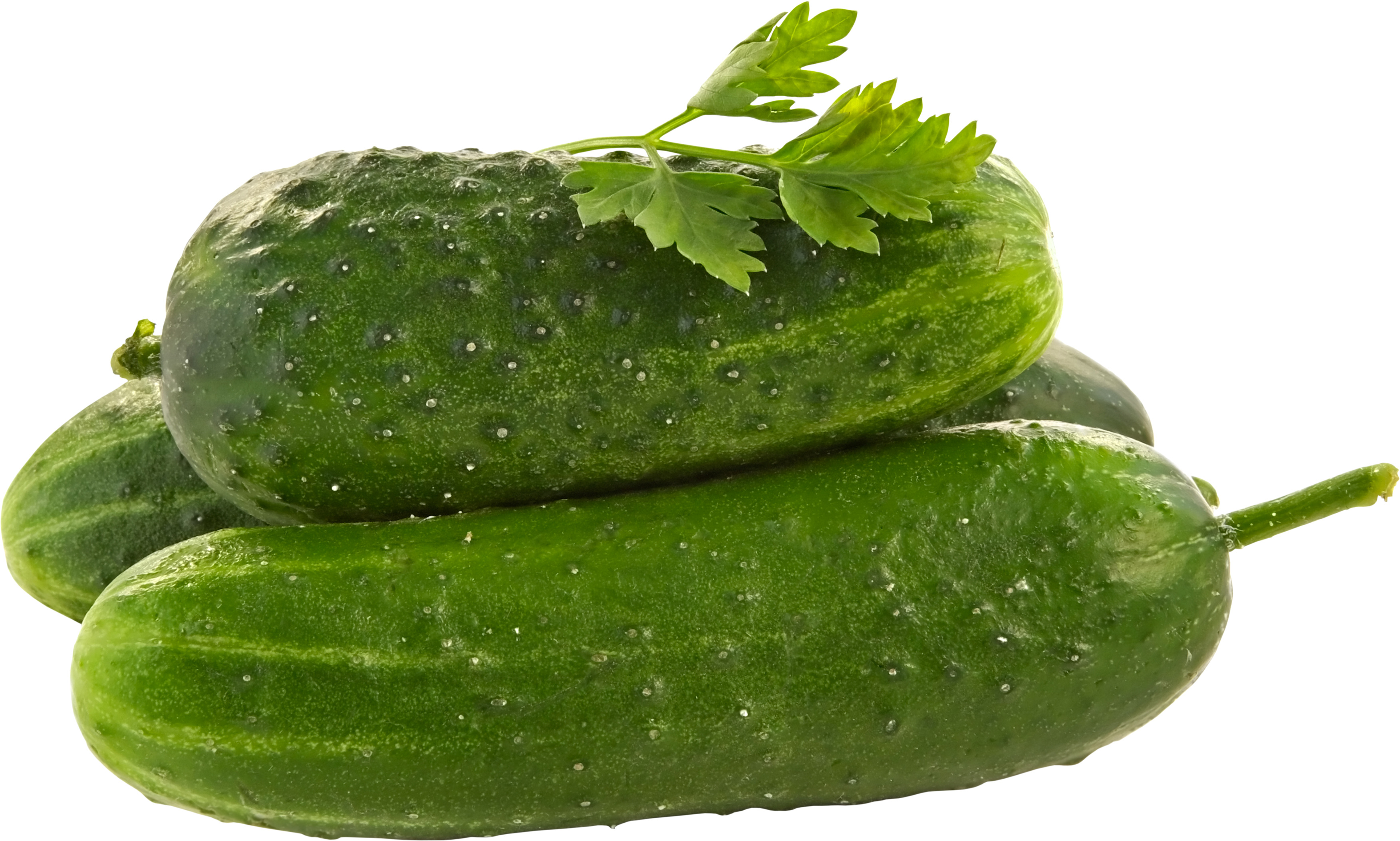 2개의이 이이이 고 밑에 파리스 이미지입니다.