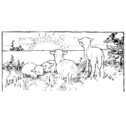 검정 과 화이트 그림 의 sheep 과 램