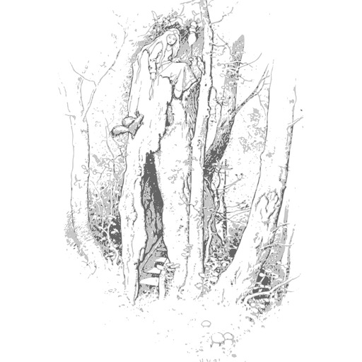 A 벌거 벗은 사람 에 The Woods