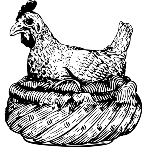 오래된 hen 안의 basket